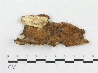 登錄號:F0020389藏品圖，第3張