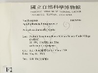 登錄號:F0020390藏品圖，第2張