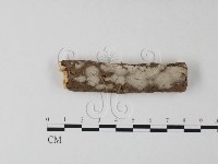 登錄號:F0020390藏品圖，第1張