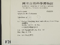 登錄號:F0020391藏品圖，第2張