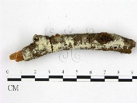 登錄號:F0020392藏品圖，第1張