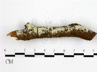 登錄號:F0020392藏品圖，第3張