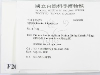 蠟孔菌屬藏品圖，第2張