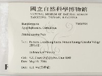 登錄號:F0020394藏品圖，第2張