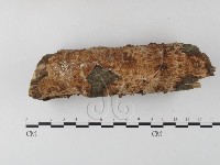 登錄號:F0020394藏品圖，第1張