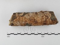 登錄號:F0020394藏品圖，第3張
