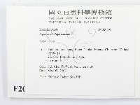 傘菌屬藏品圖，第2張