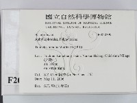 登錄號:F0020399藏品圖，第2張