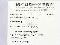 多年臥孔菌屬藏品圖，第2張