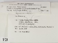 登錄號:F0020404藏品圖，第2張