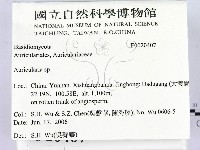 木耳屬藏品圖，第2張