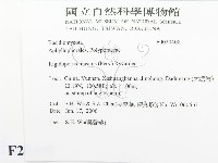 登錄號:F0020408藏品圖，第2張