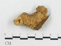 登錄號:F0020408藏品圖，第3張