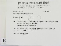 小孔菌屬藏品圖，第2張