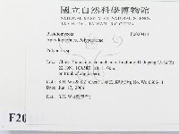 多孔菌屬藏品圖，第2張