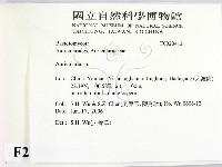 木耳屬藏品圖，第2張