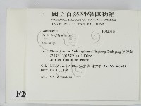 炭角菌屬藏品圖，第2張
