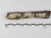 登錄號:F0020414藏品圖，第1張