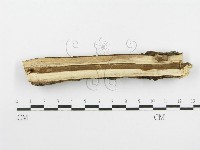 登錄號:F0020414藏品圖，第4張