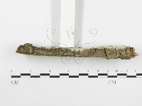 登錄號:F0020414藏品圖，第5張