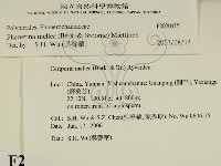 登錄號:F0020415藏品圖，第2張