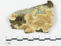 登錄號:F0020415藏品圖，第1張
