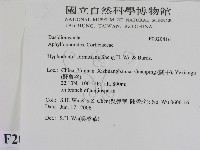 登錄號:F0020416藏品圖，第2張