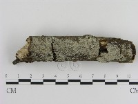 登錄號:F0020416藏品圖，第1張