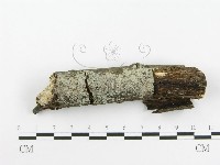 登錄號:F0020416藏品圖，第3張