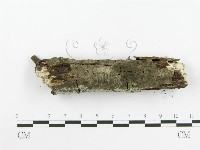 登錄號:F0020416藏品圖，第4張
