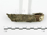登錄號:F0020416藏品圖，第5張