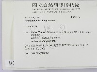 銳孔菌屬藏品圖，第2張