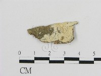 登錄號:F0020418藏品圖，第1張