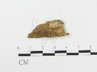 登錄號:F0020418藏品圖，第3張