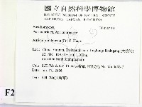 皺木耳藏品圖，第2張