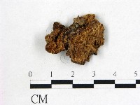 皺木耳藏品圖，第3張