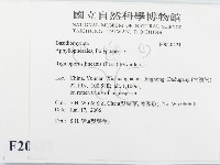 登錄號:F0020421藏品圖，第2張