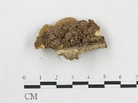 登錄號:F0020421藏品圖，第1張