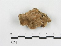 登錄號:F0020421藏品圖，第4張