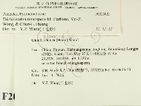 登錄號:F0020422藏品圖，第2張