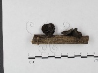 登錄號:F0020422藏品圖，第3張