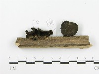 登錄號:F0020422藏品圖，第4張
