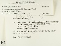 登錄號:F0020424藏品圖，第2張