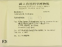 登錄號:F0020425藏品圖，第2張