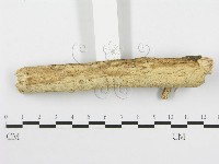 登錄號:F0020425藏品圖，第3張