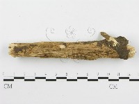 登錄號:F0020425藏品圖，第4張