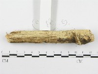 登錄號:F0020425藏品圖，第5張