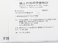 登錄號:F0020426藏品圖，第2張