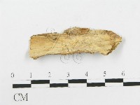 登錄號:F0020426藏品圖，第1張