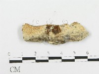 登錄號:F0020426藏品圖，第3張